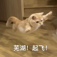 DƬ
